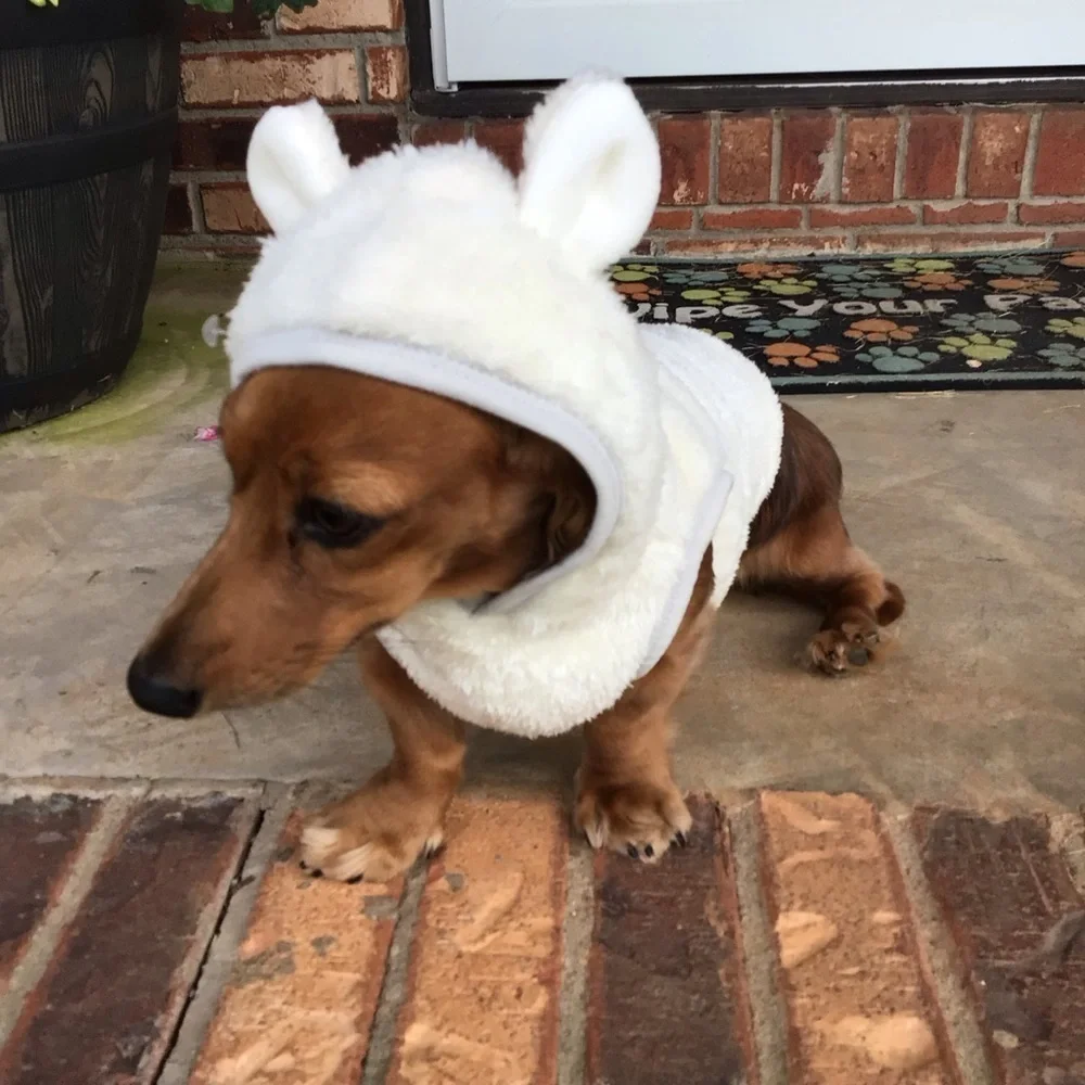 Cute Adorable Funny Fuzzy Bear Dog Pet Costume Hooded Fleece Sweater